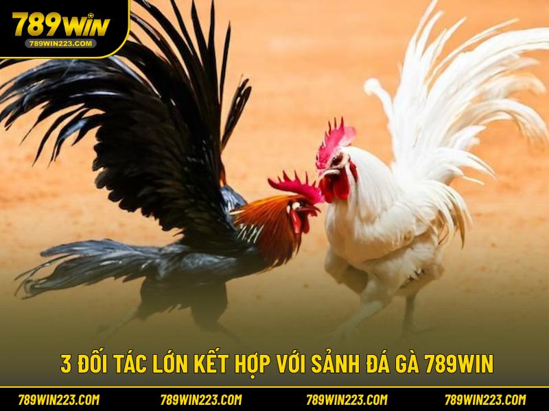3 đối tác lớn kết hợp với sảnh đá gà 789WIN