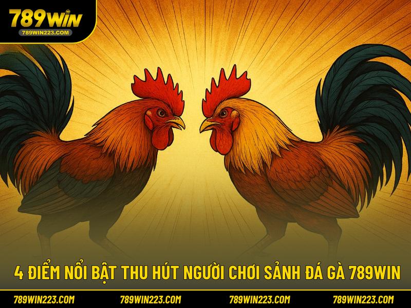 4 Điểm nổi bật thu hút người chơi sảnh đá gà 789WIN