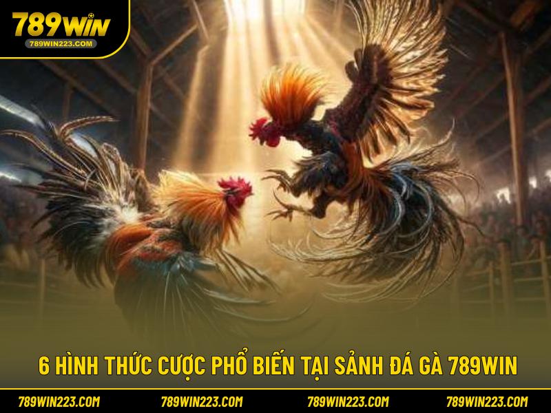 6 hình thức cược phổ biến tại sảnh đá gà 789WIN