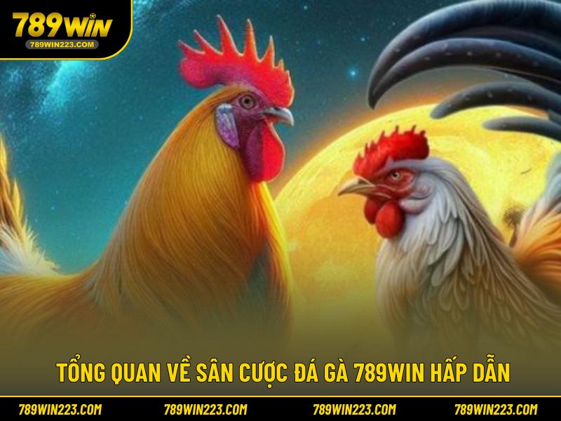 Tổng quan về sân cược đá gà 789WIN hấp dẫn